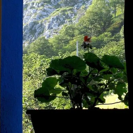 La Casa Con Vistas Picos De Europa منزل ريفي *