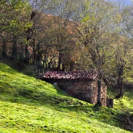 منزل ريفي La Casa Con Vistas Picos De Europa Cazo